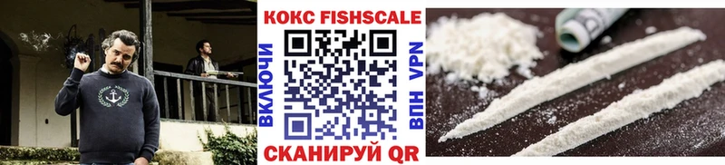 Cocaine Fish Scale как найти Мещовск