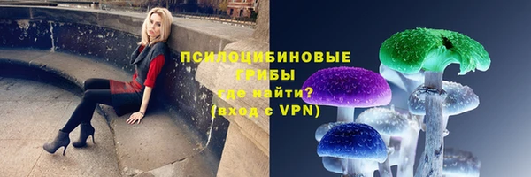 прущие крисы Алексин