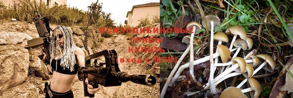 прущие крисы Алексин