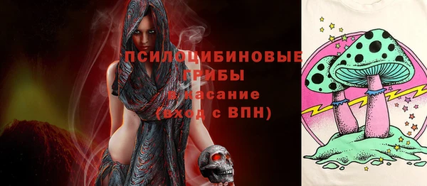 спайс Алзамай