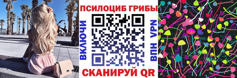 Псилоцибиновые грибы мицелий  Мещовск 